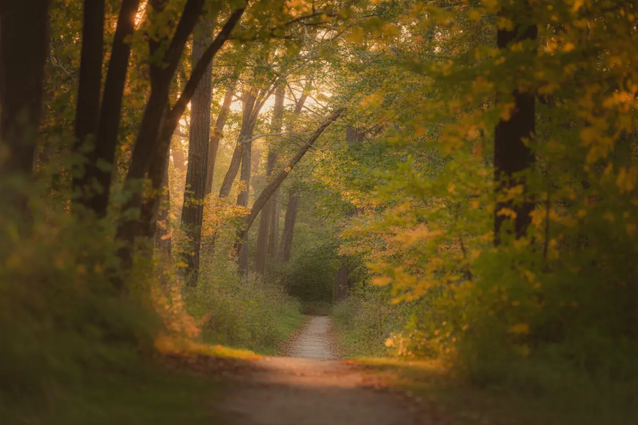 Internal Family Systems (IFS) hero