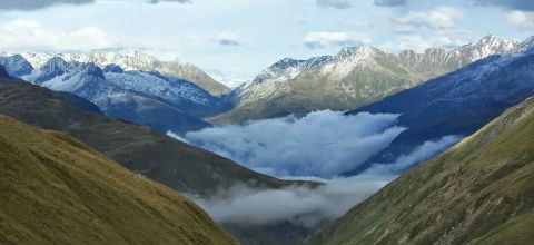 Abuse Counseling & Education, Inc - Nonviolent Alternatives Greenwood - Treatment center in Greenwood, Indiana