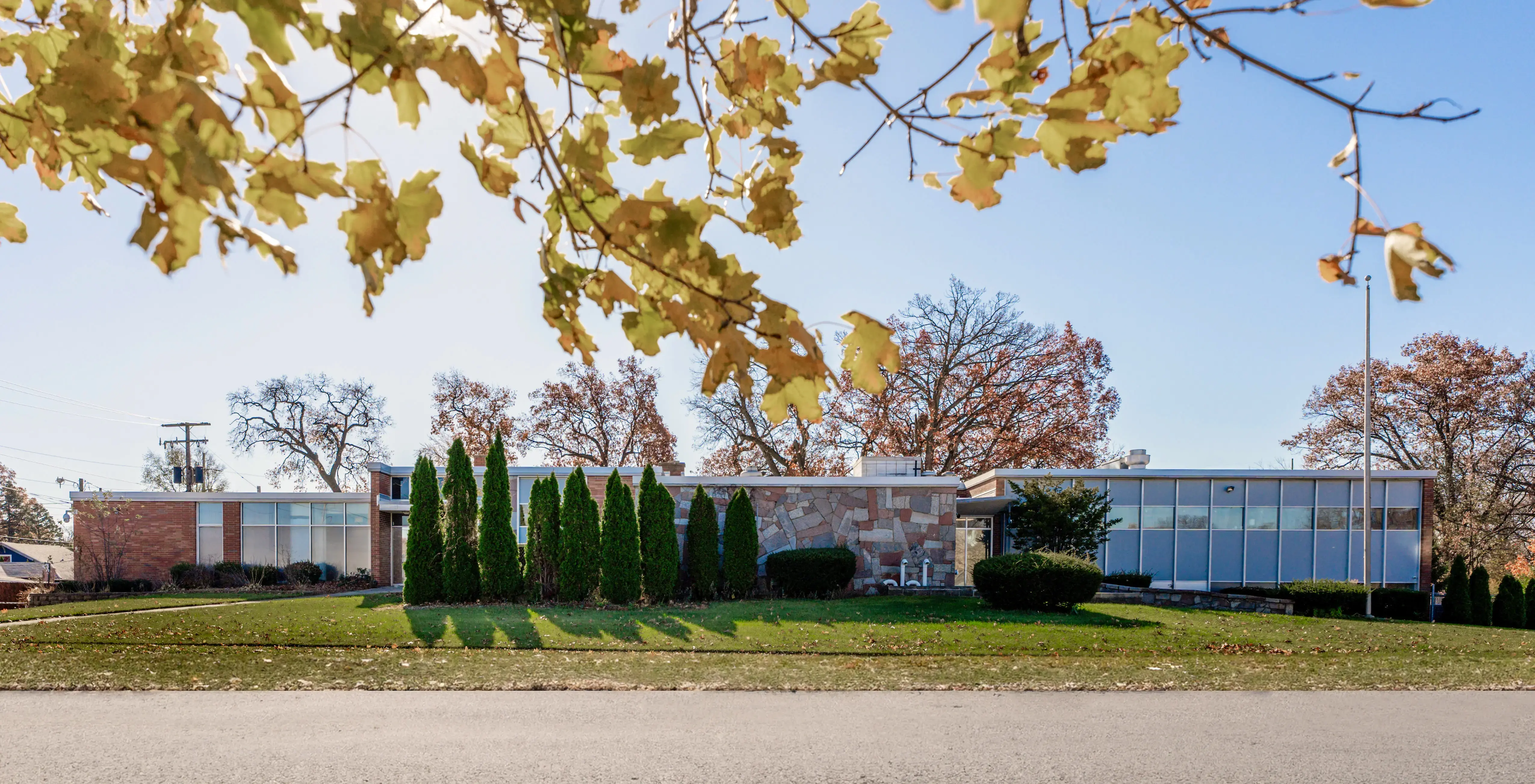 Cardinal Recovery - Image 1 of 13