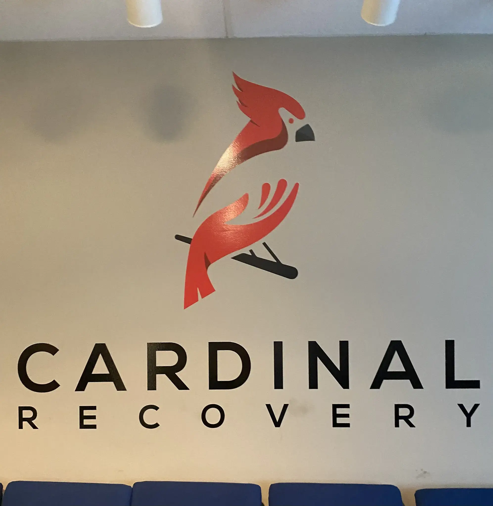 Cardinal Recovery - Image 7 of 13