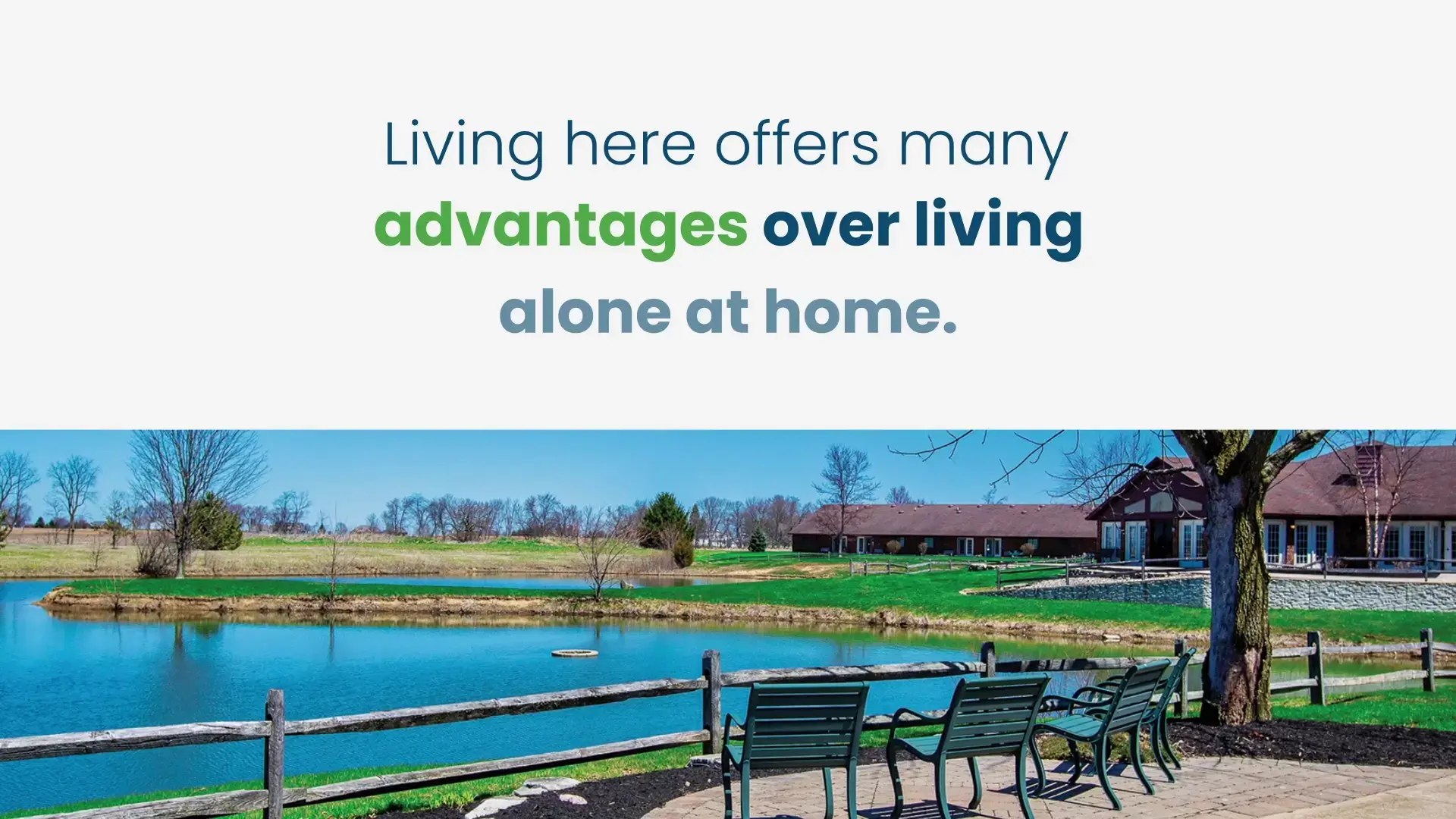 Century Fields - Image 2 of 9