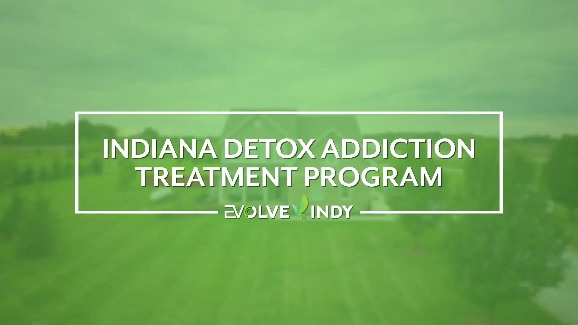 Evolve Indy - Image 8 of 20