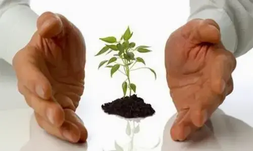 Fresh Start Counseling Services - Valparaiso - Image 4 of 8