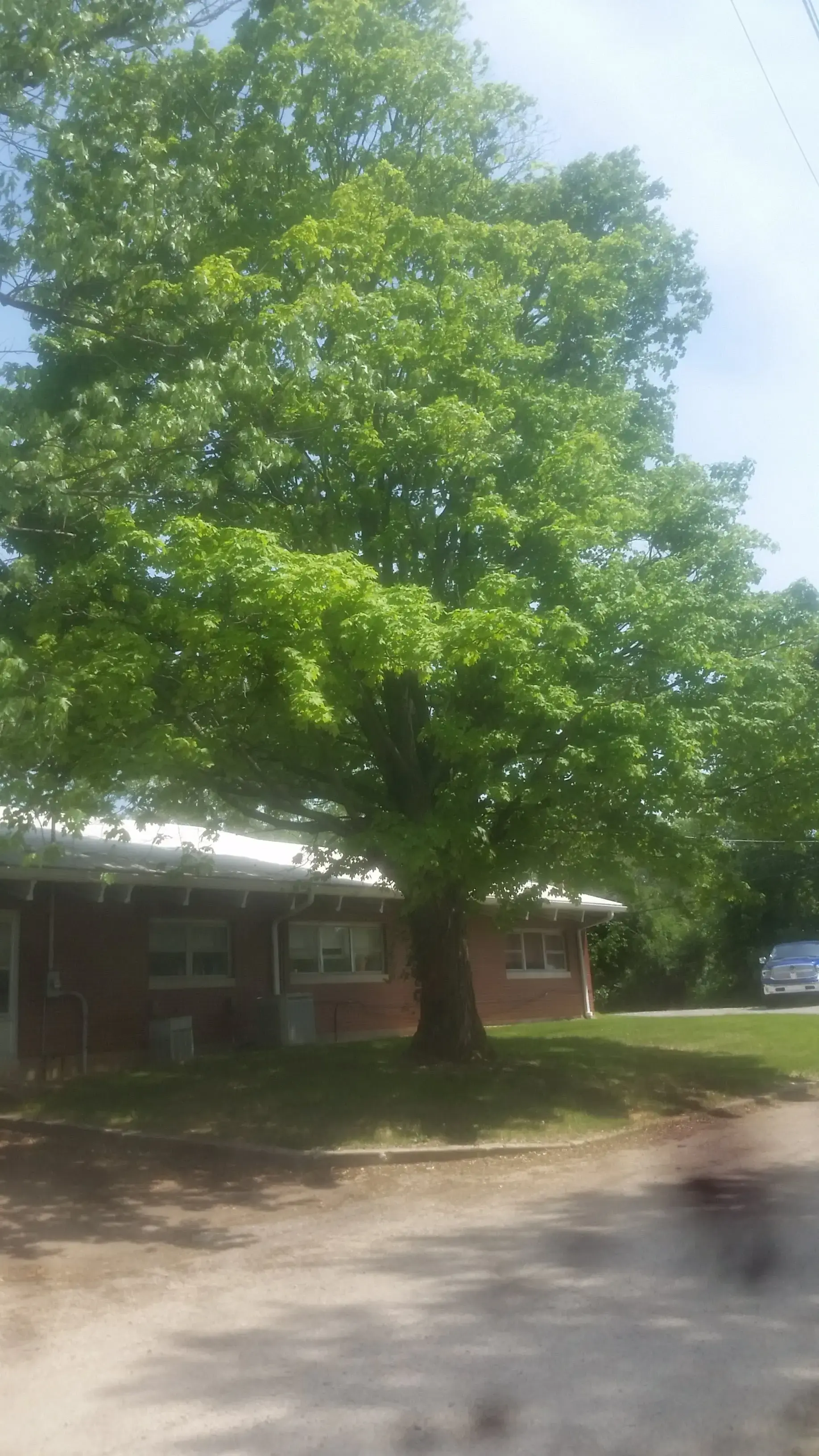 Hillcrest Youth Services - Image 1 of 12