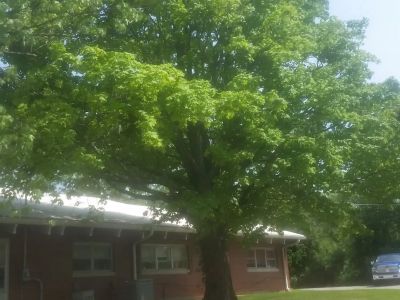 Hillcrest Youth Services - Image 1 of 12