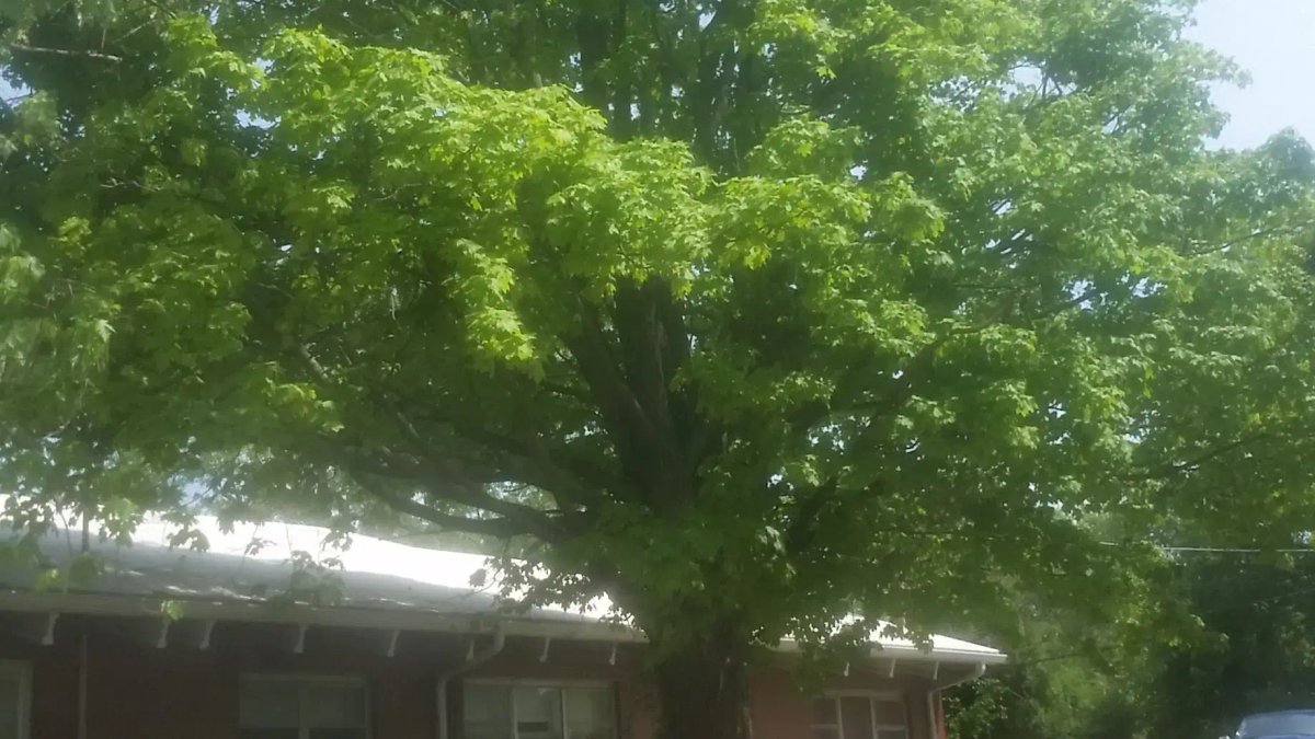 Hillcrest Youth Services - Image 2 of 12