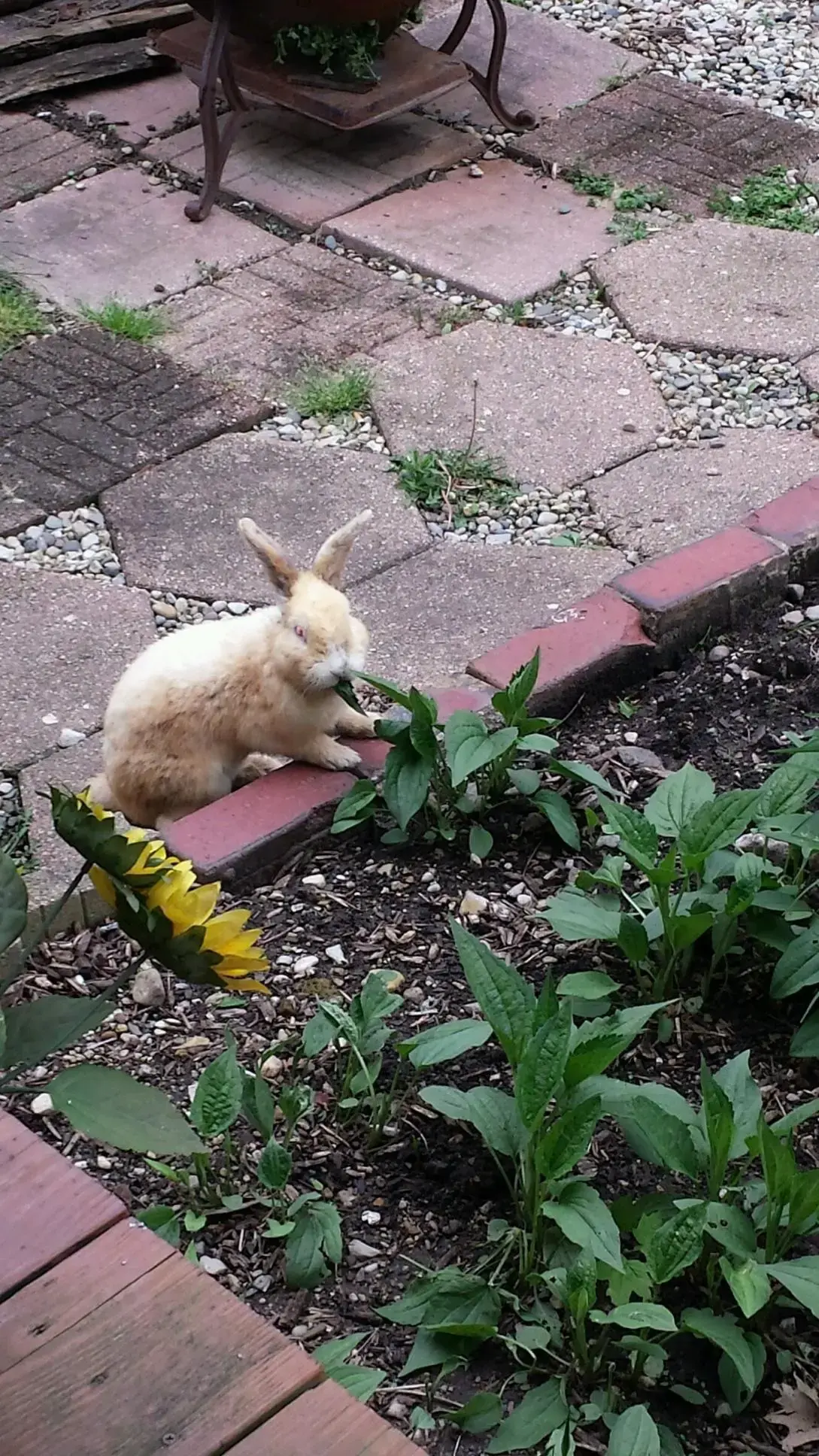 House of Hope of Madison County - Image 2 of 2