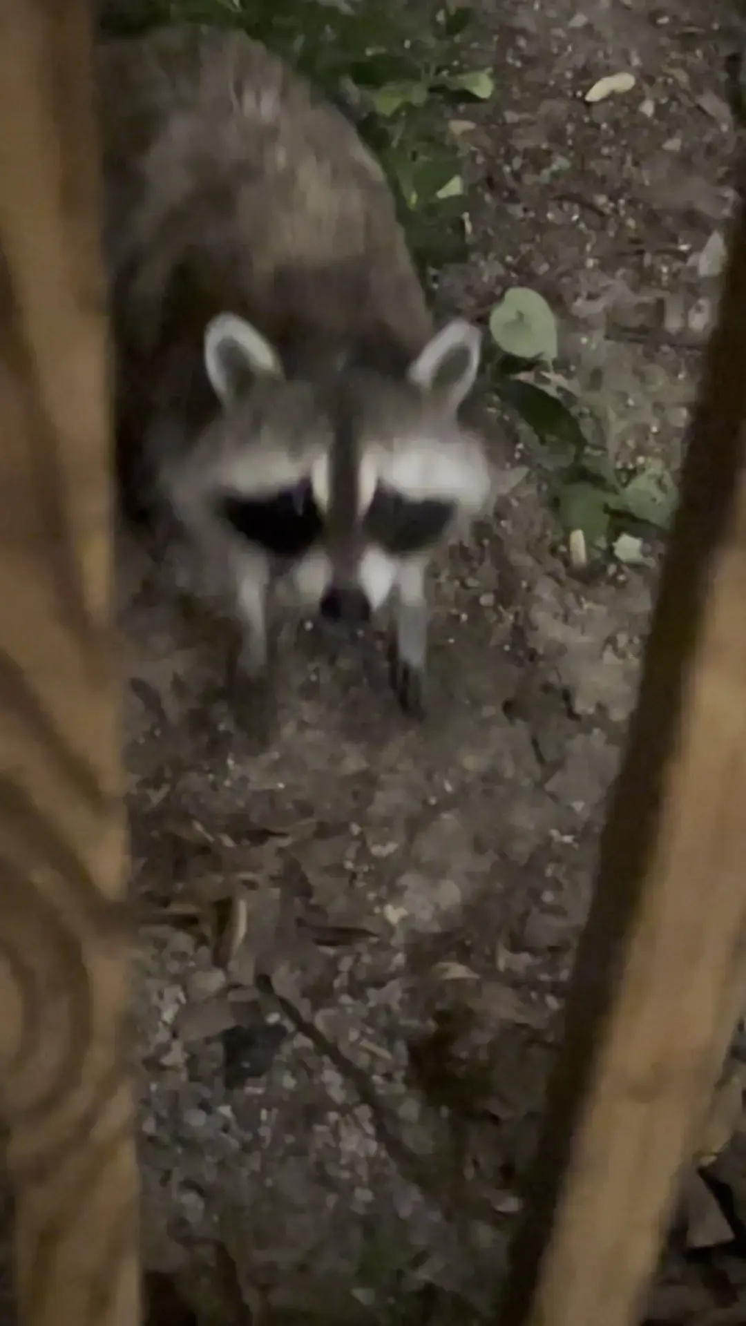 La Verna Lodge - Image 5 of 7