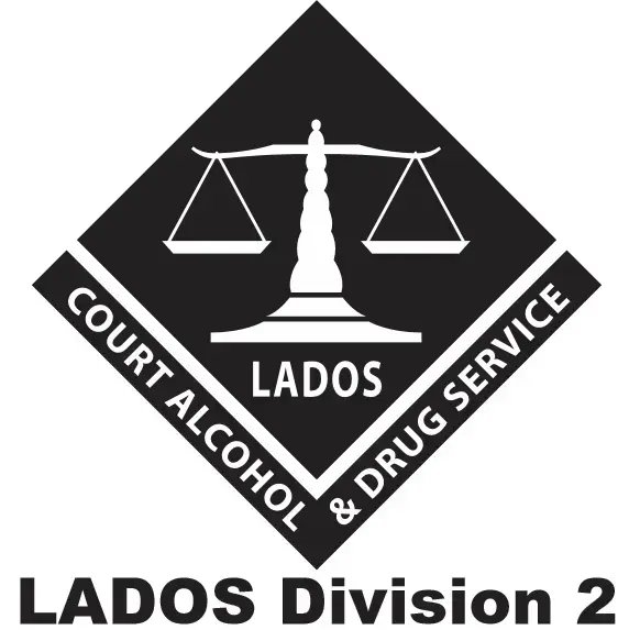 Lados Division 2 Lake County Court Administered Substance Abuse Program - Image 2 of 2