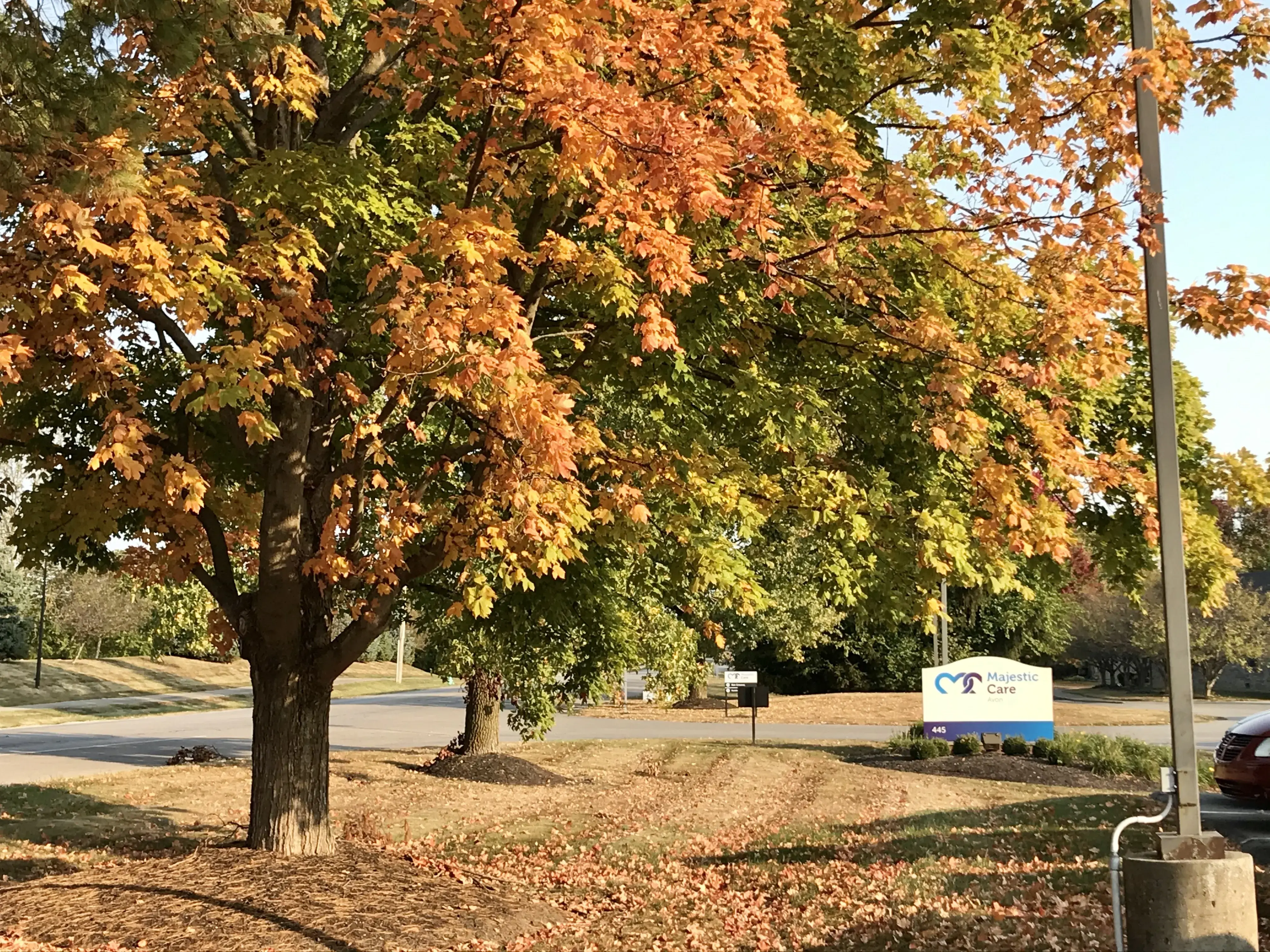 Majestic Care of Avon - Image 9 of 20