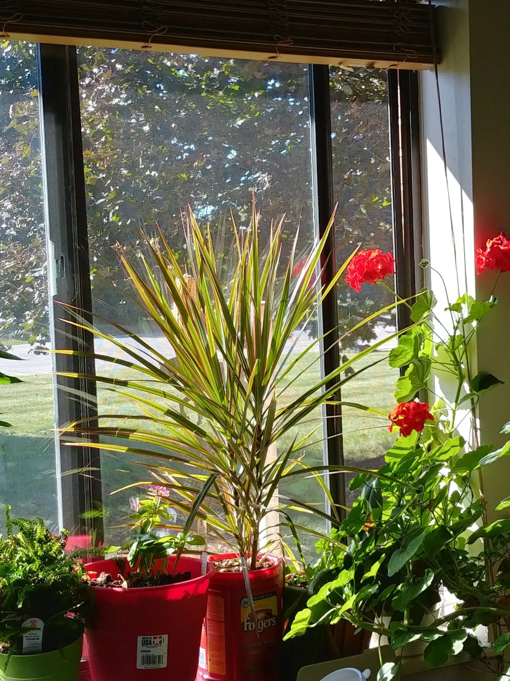 Majestic Care of Avon - Image 14 of 20