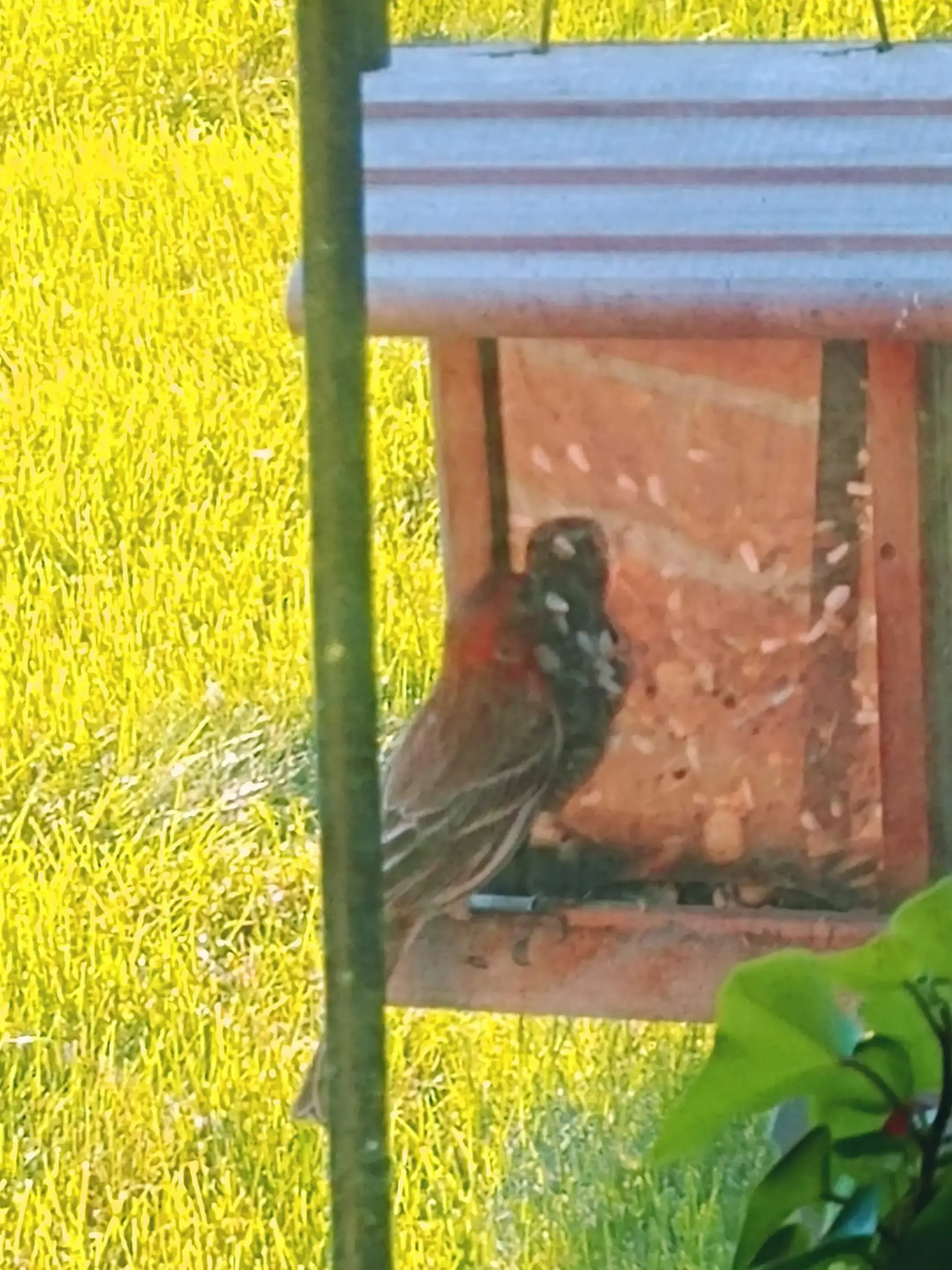 Majestic Care of Avon - Image 16 of 20