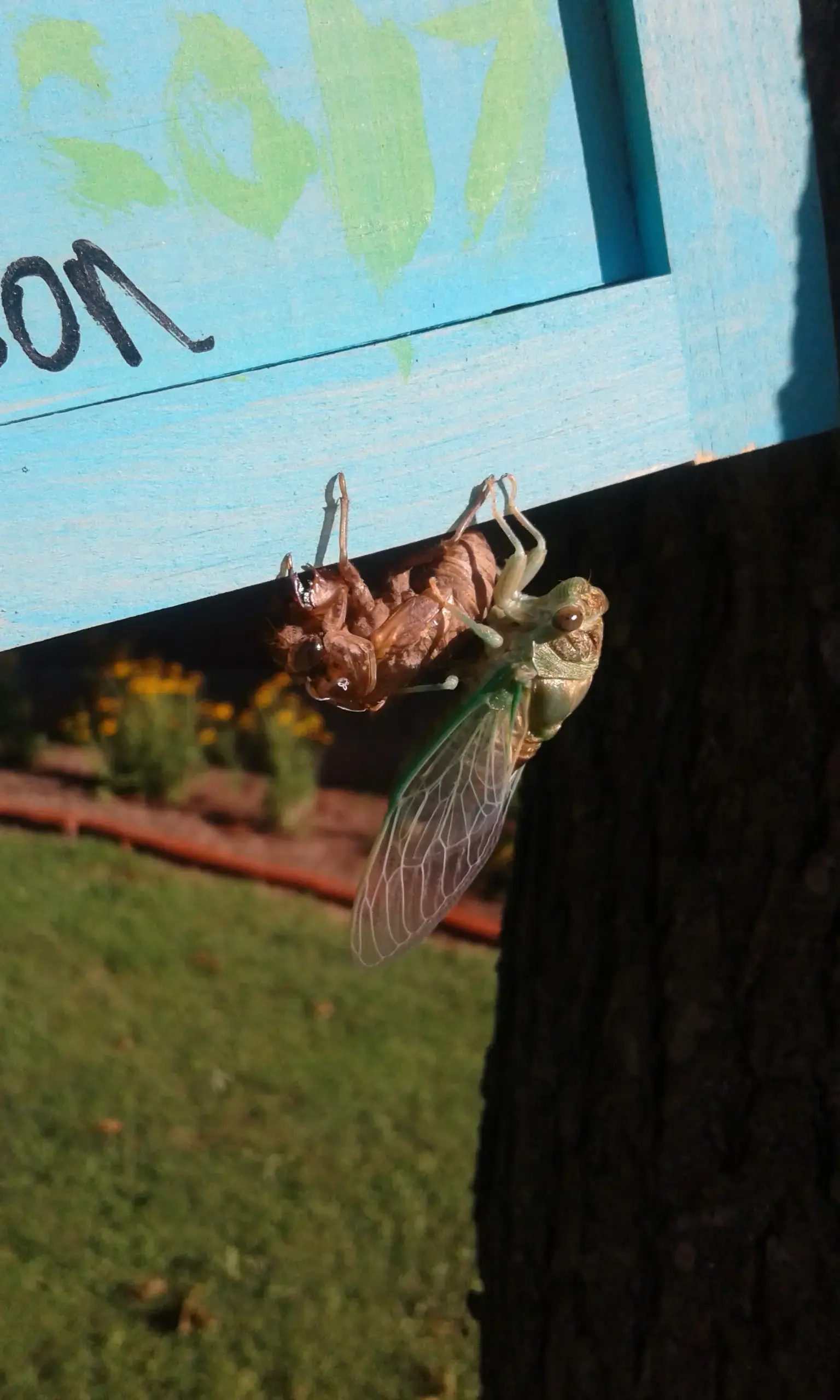 Next Step Foundation Terra Haute - Image 9 of 17