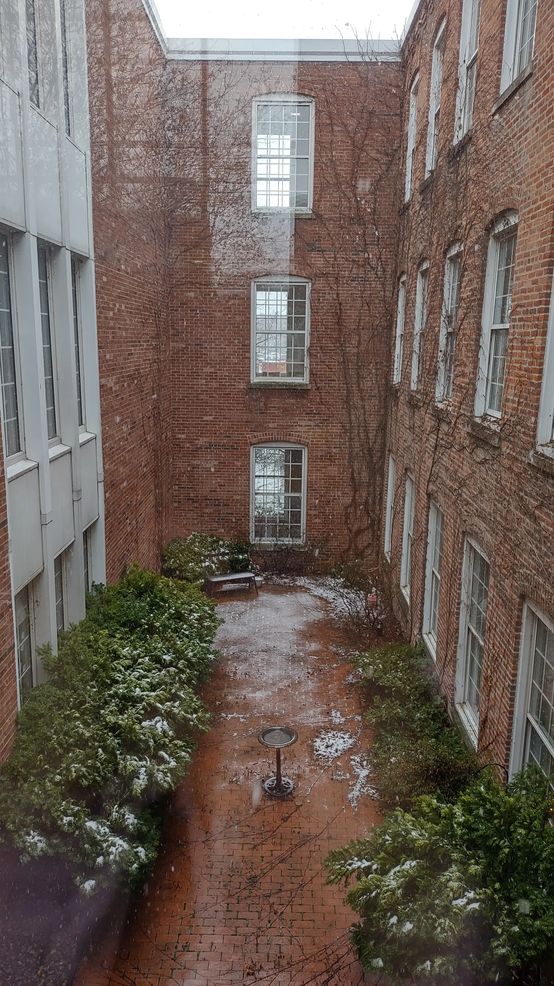 Oaklawn Psychiatric Center - East Madison Street - Image 7 of 18