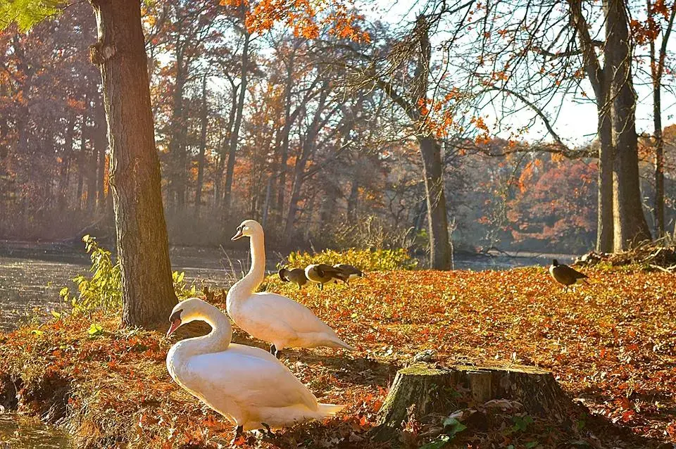 Parkdale Center - Image 11 of 20