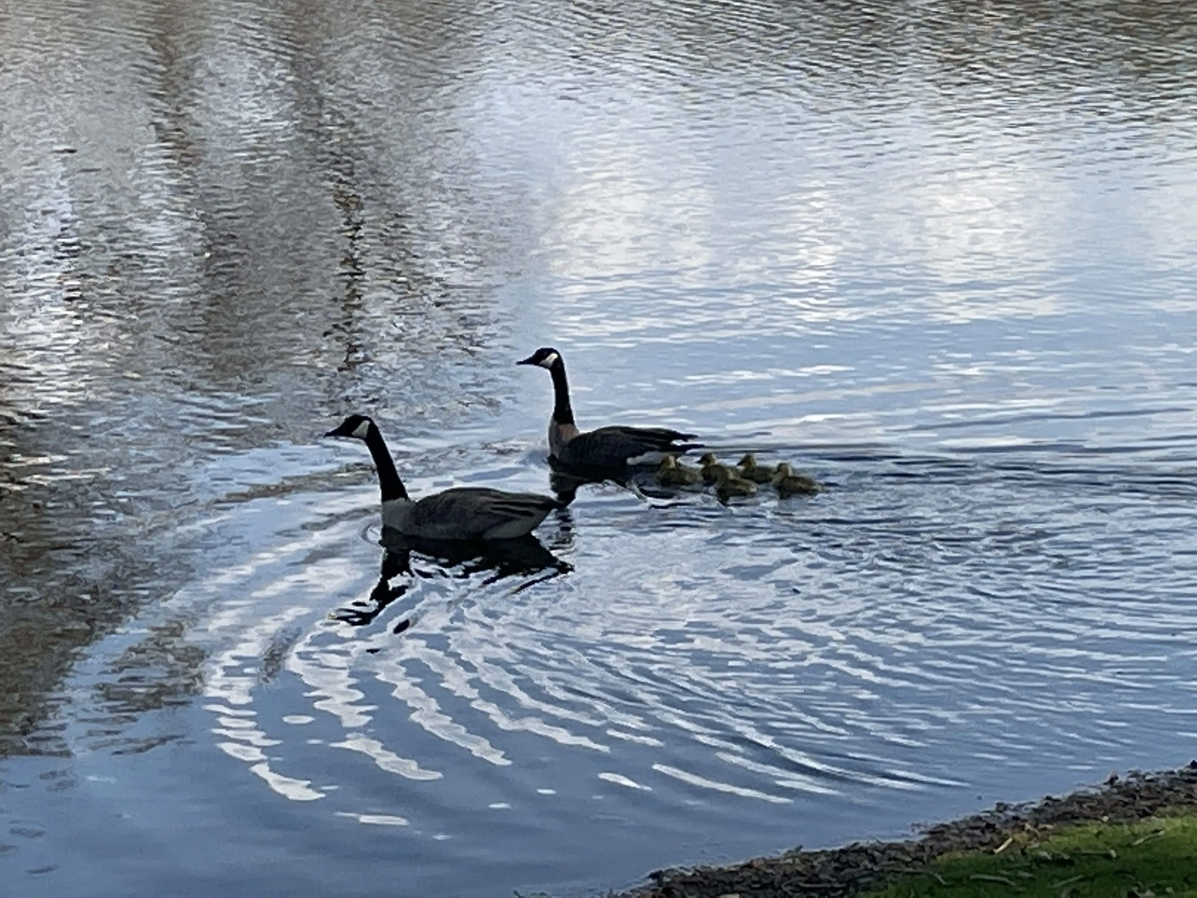 Parkdale Center - Image 6 of 20