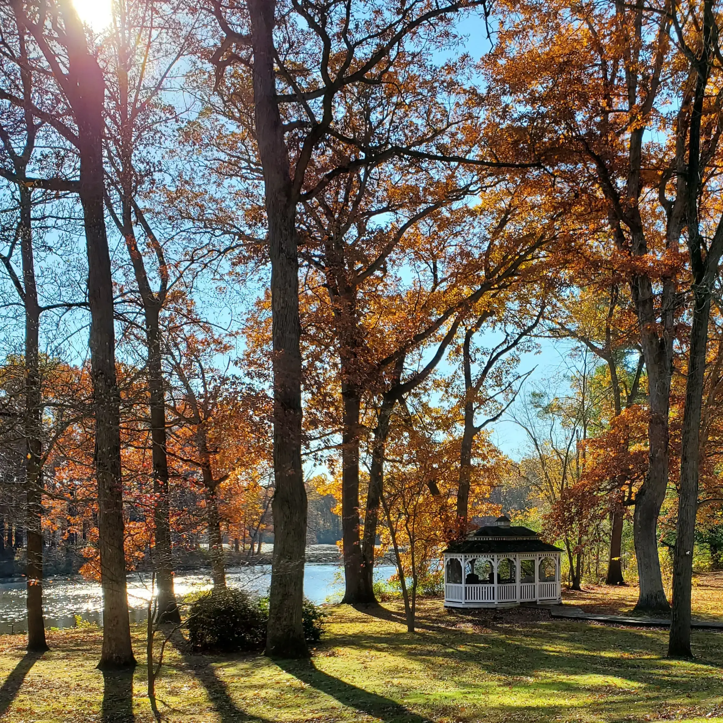 Parkdale Center - Image 17 of 20