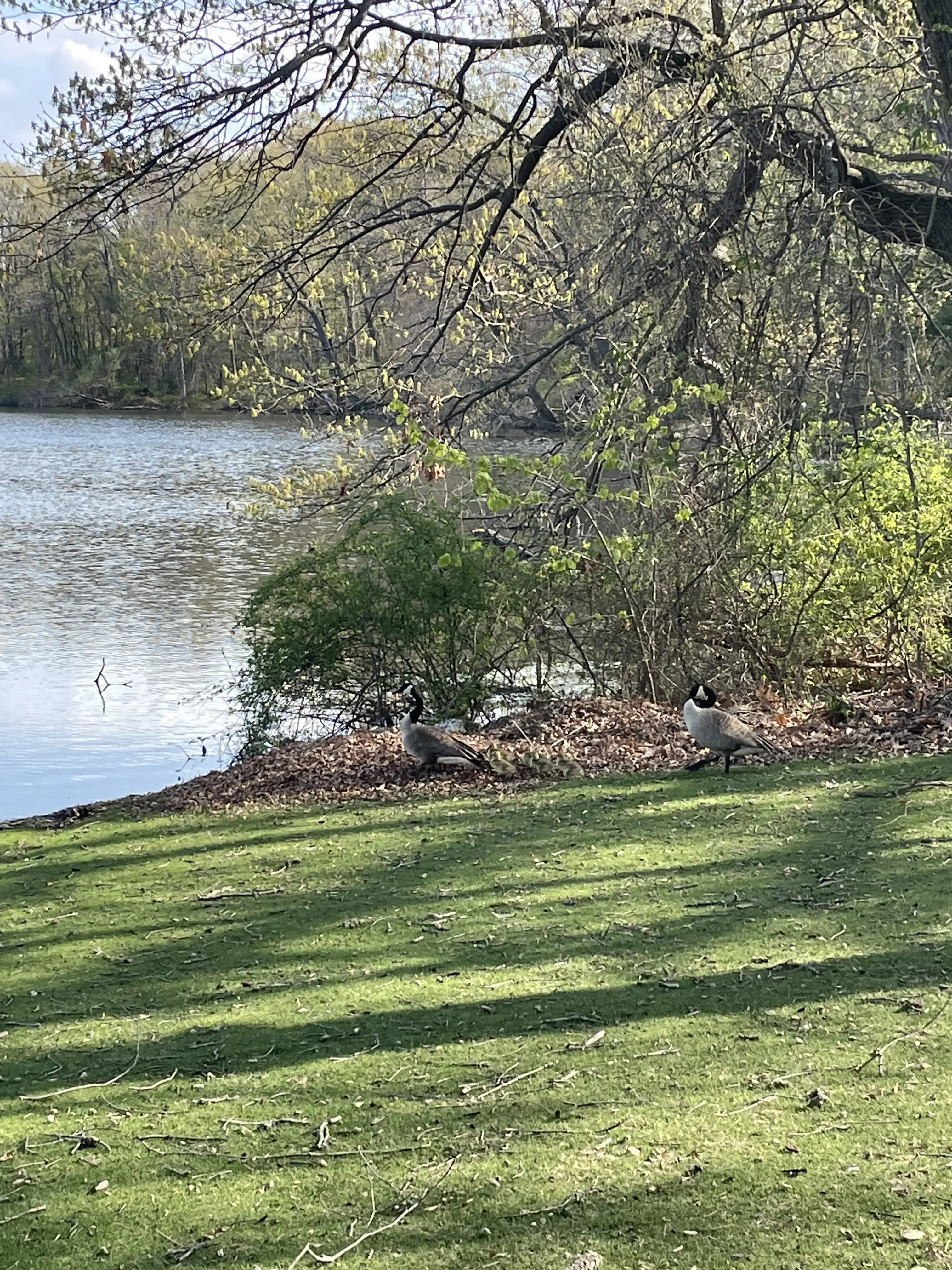 Parkdale Center - Image 8 of 20