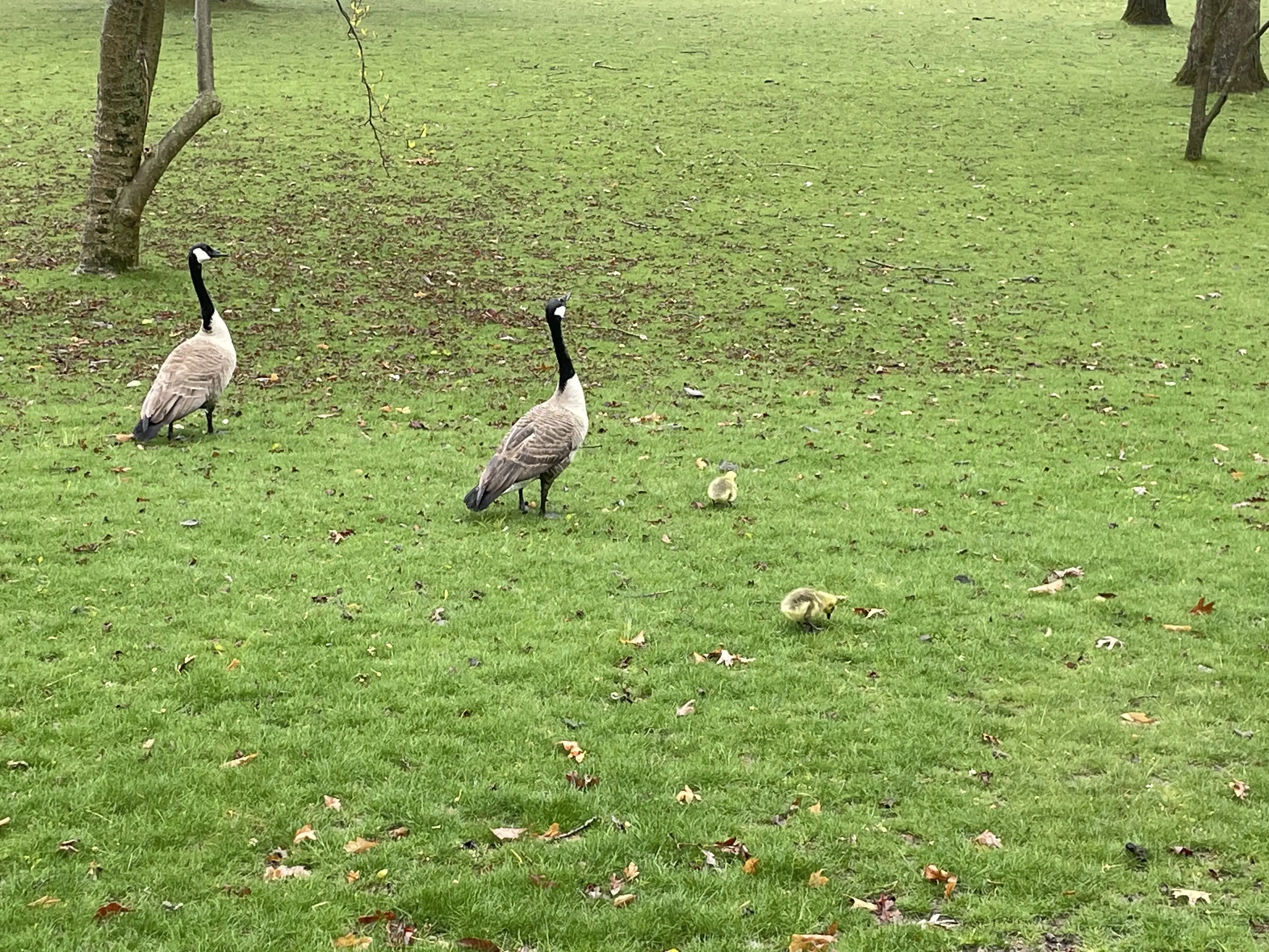 Parkdale Center - Image 7 of 20