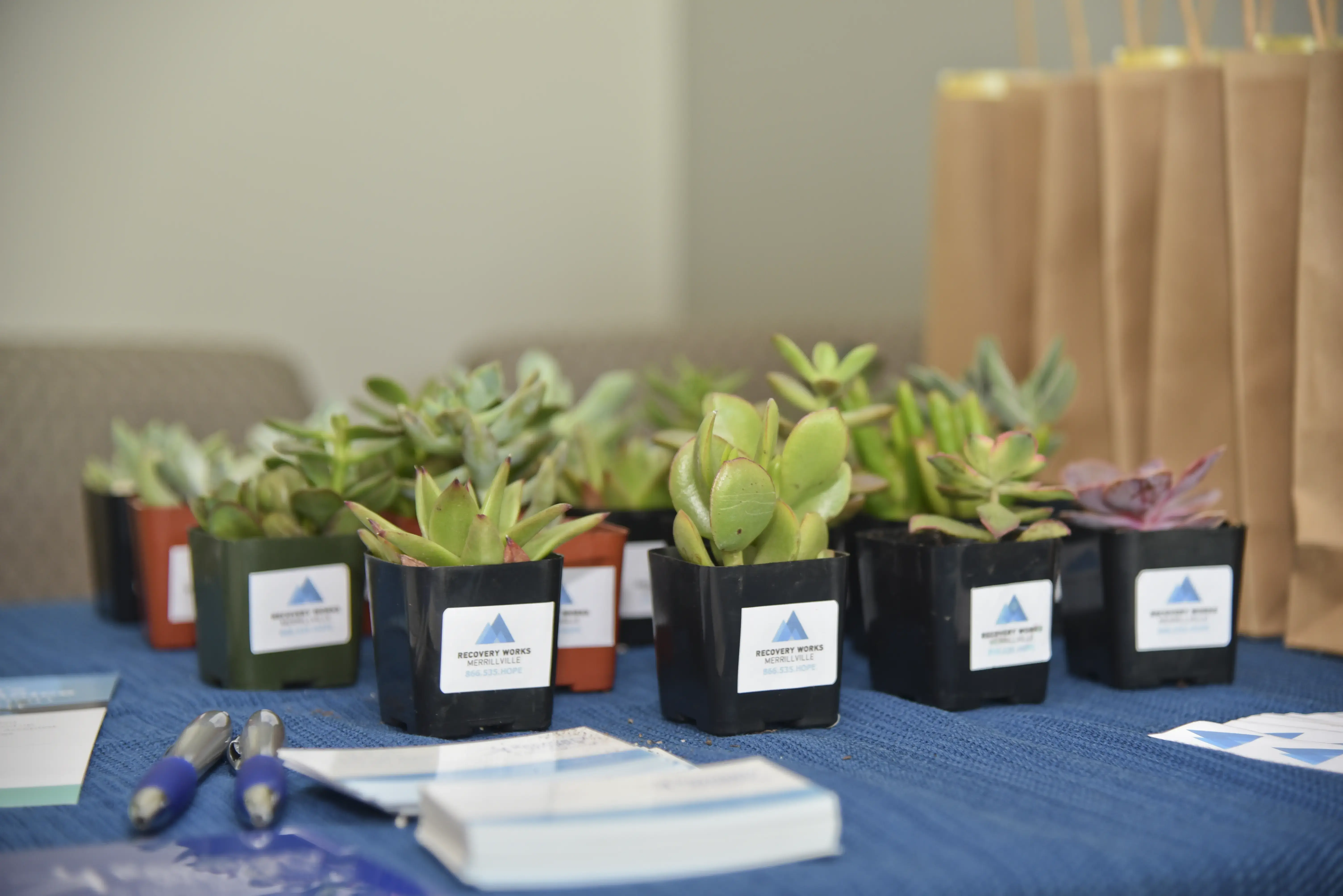 Pinnacle Treatment Centers - Recovery Works Merrillville - Image 8 of 20