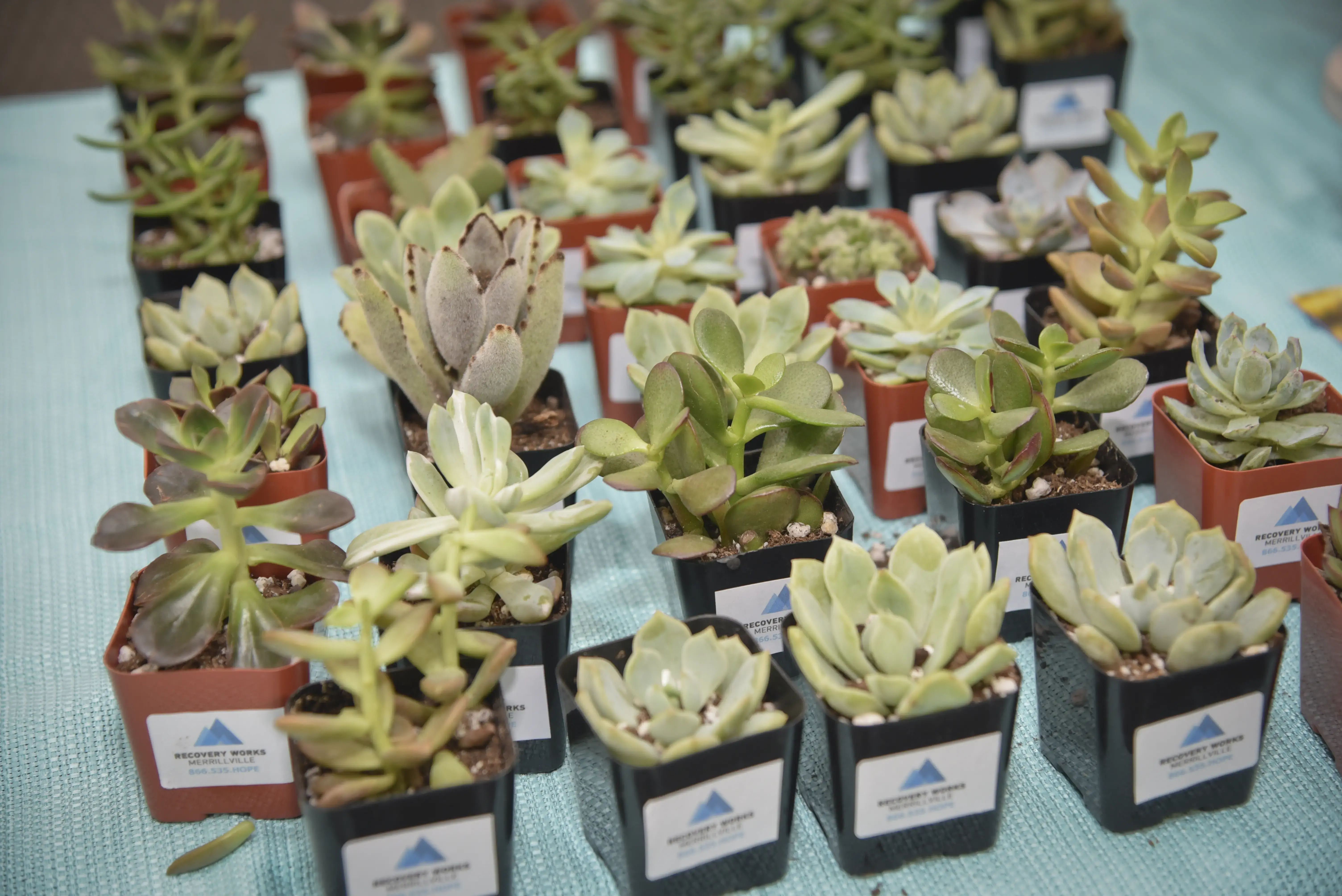 Pinnacle Treatment Centers - Recovery Works Merrillville - Image 7 of 20