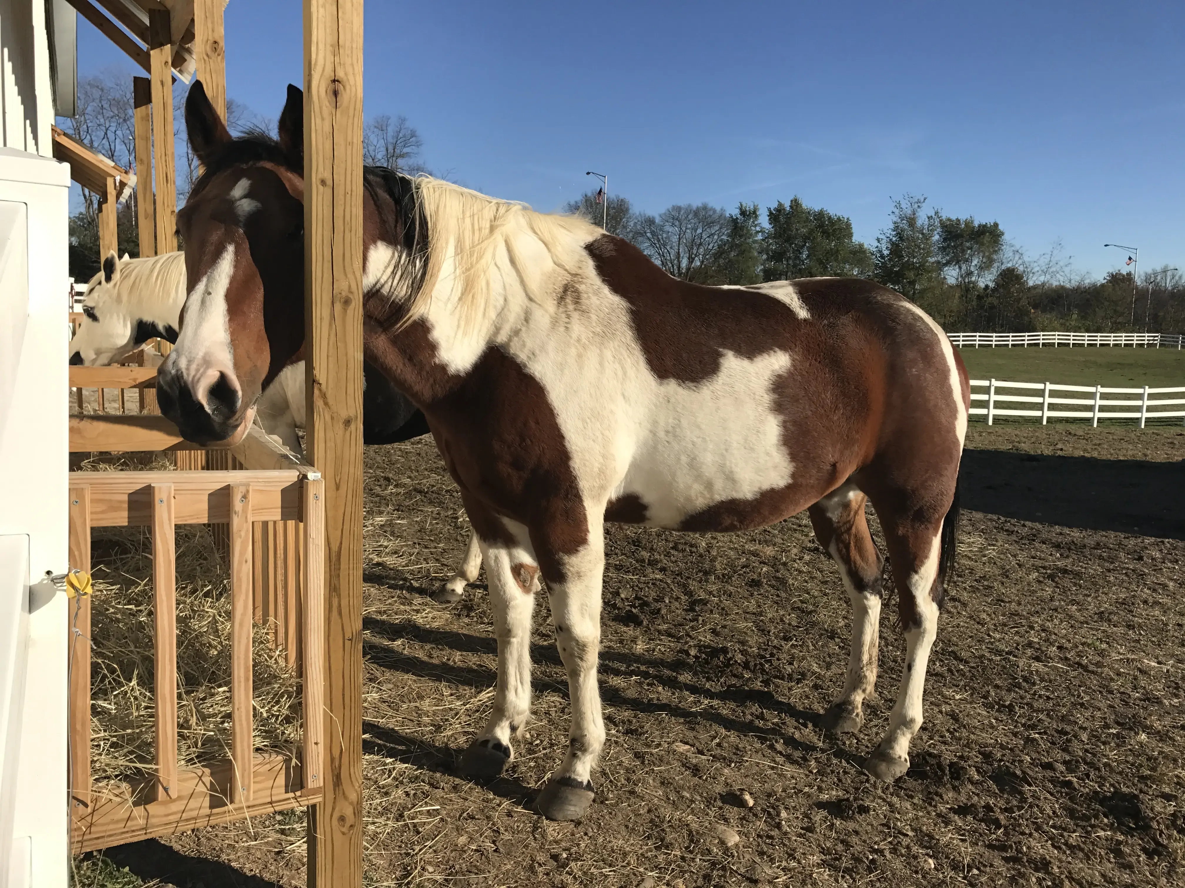 Selah House - Image 3 of 20