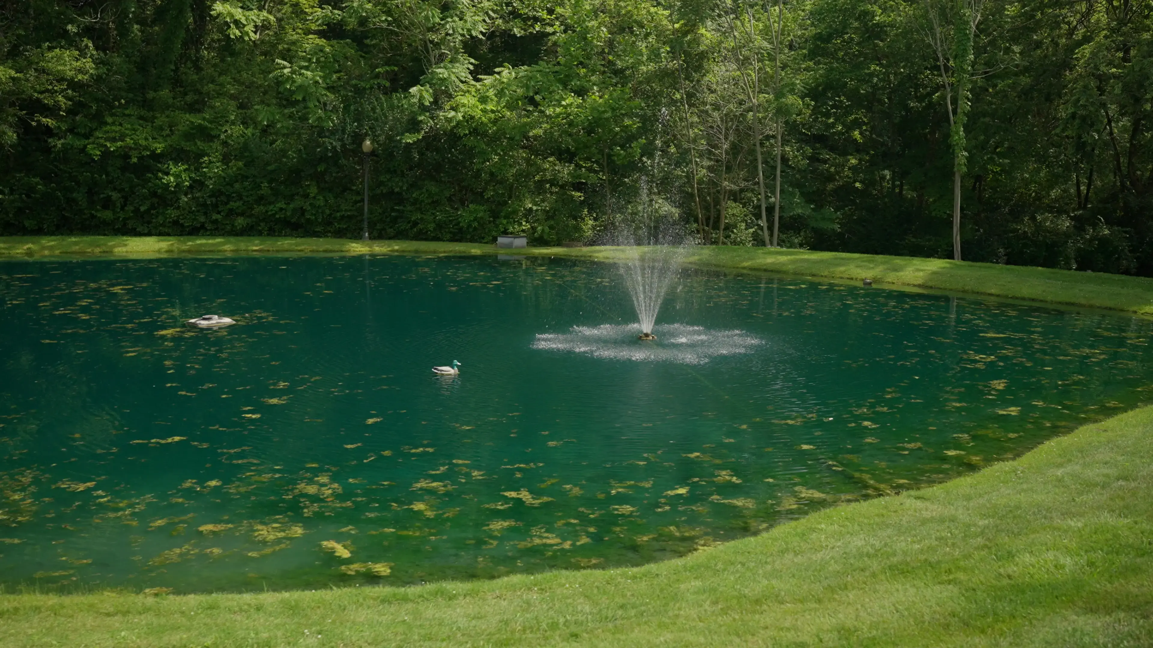 Selah House - Image 13 of 20