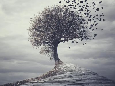 SeyMour Recovery - Addiction Treatment Helpline - Image 1 of 2