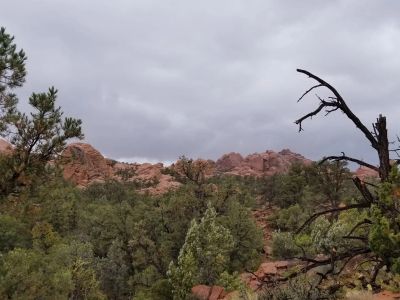 Star Guides Wilderness - Image 2 of 20