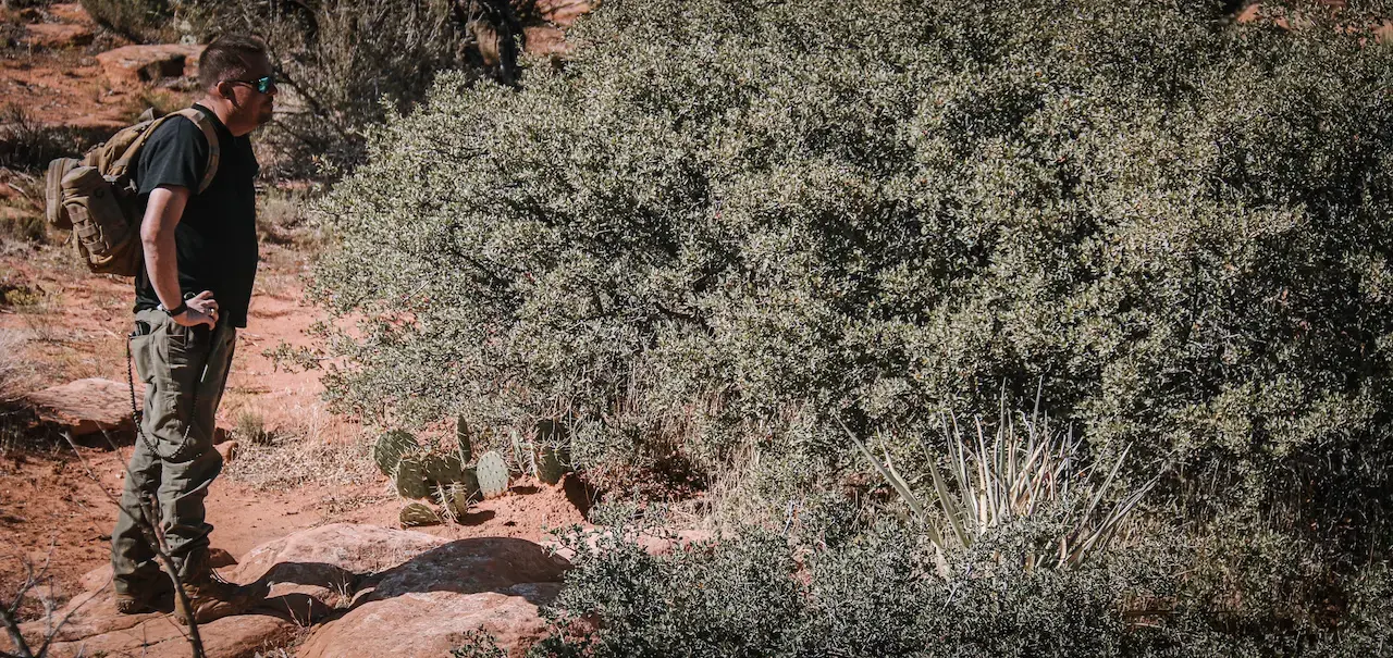 Star Guides Wilderness - Image 20 of 20