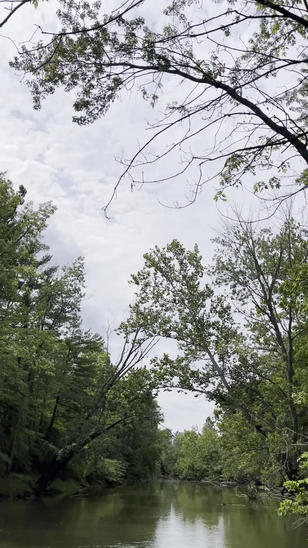 Still Water on the Wildcat Recovery - Image 19 of 19