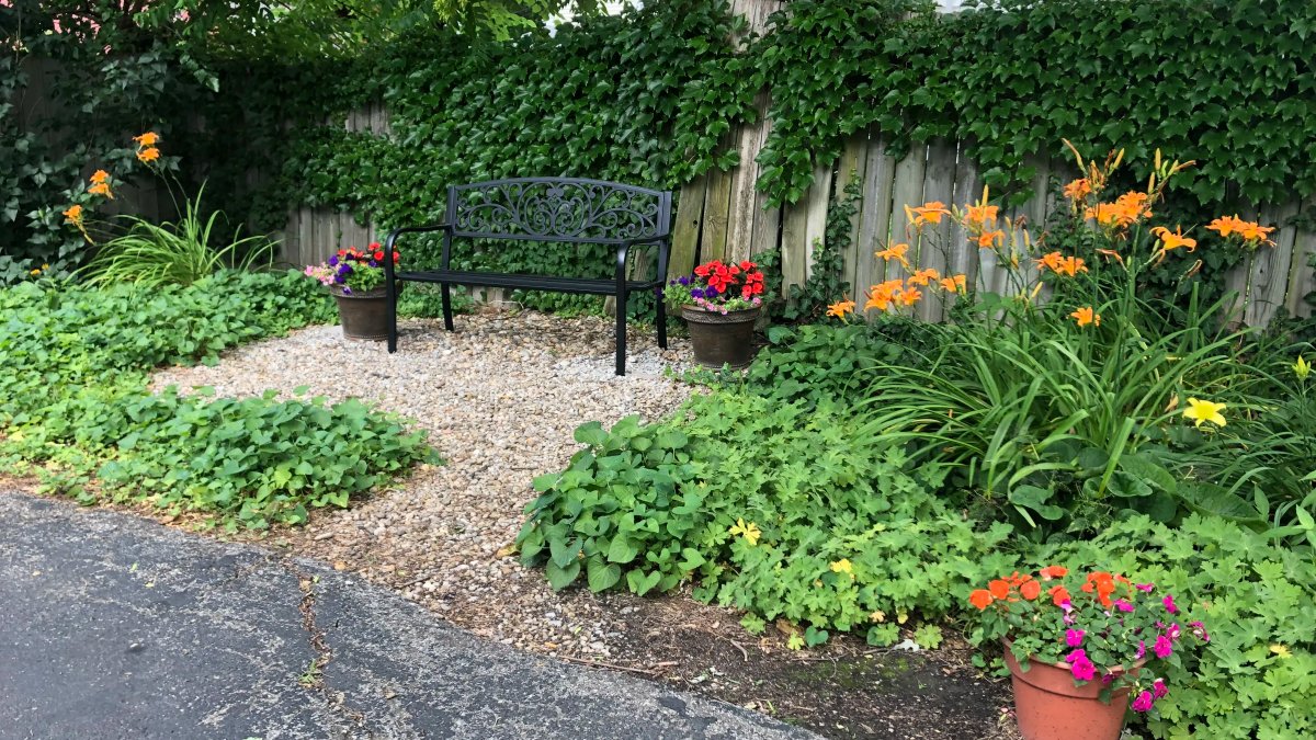 Surf Center - Image 1 of 11