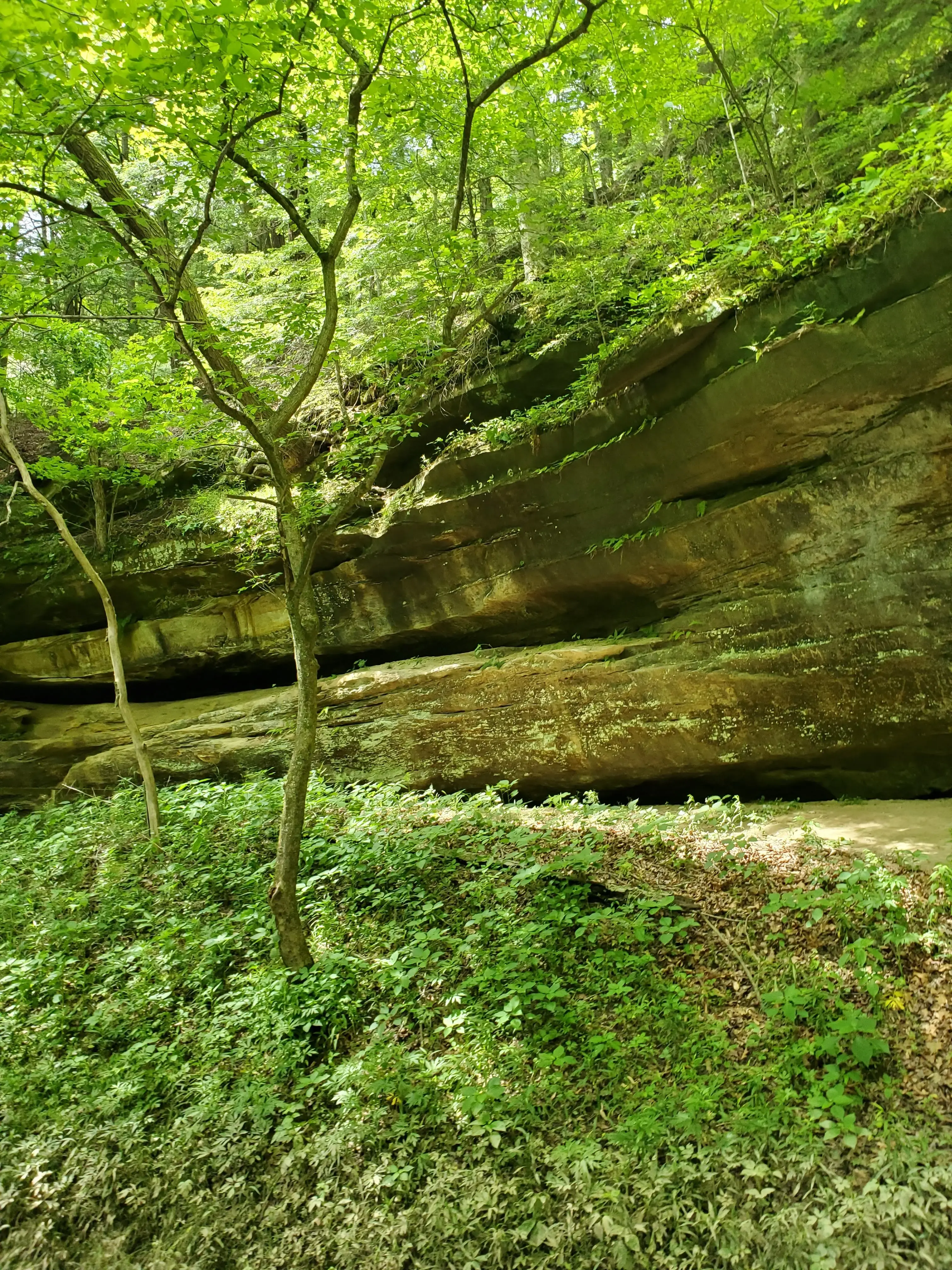 Terre Haute Regional Hospital - Behavioral Health - Image 3 of 4