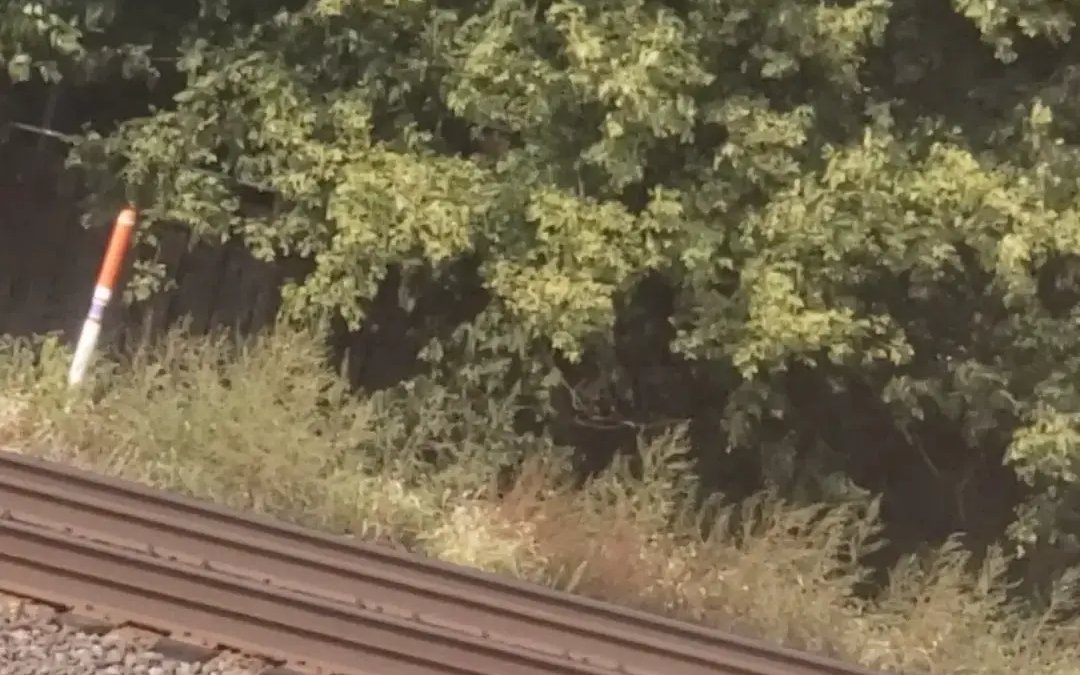 The Children Campus - Image 2 of 4