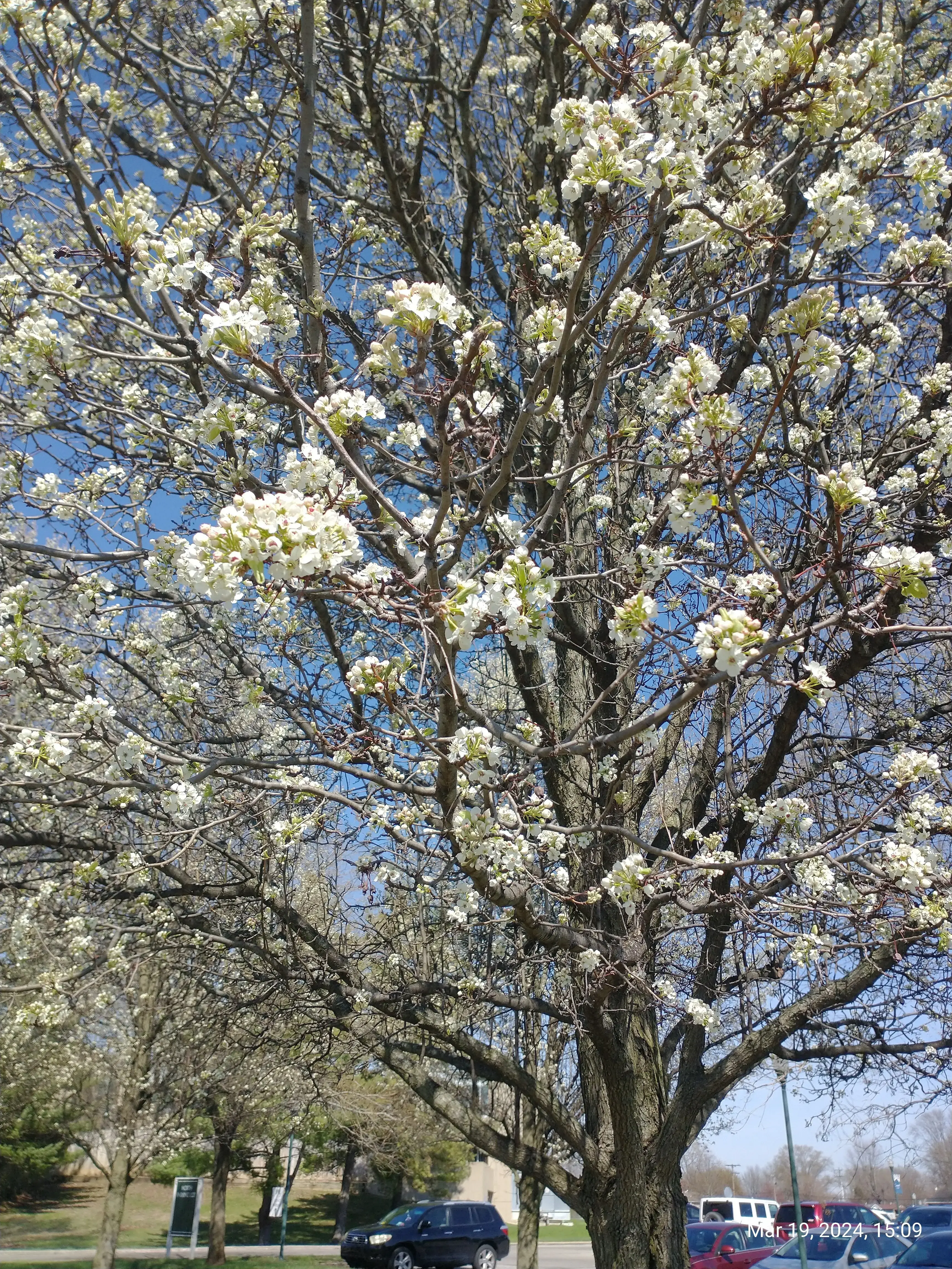 Treatment and Support Center (TASC) at Columbus Regional Health - Image 3 of 8
