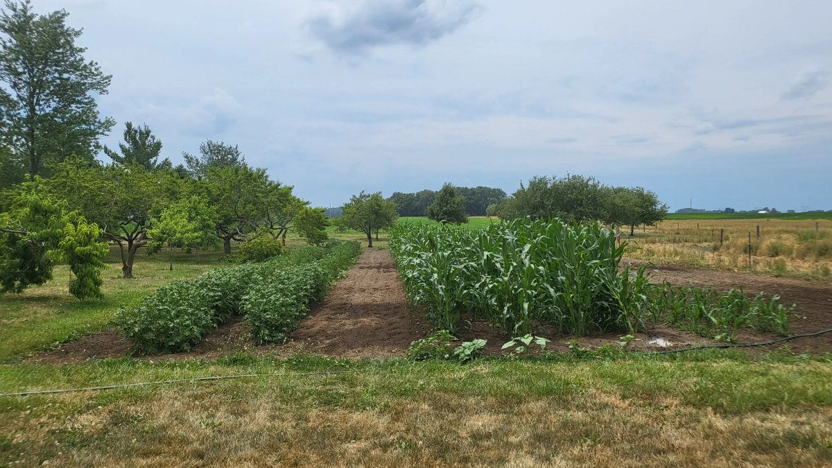 Valley of Grace - Image 20 of 20