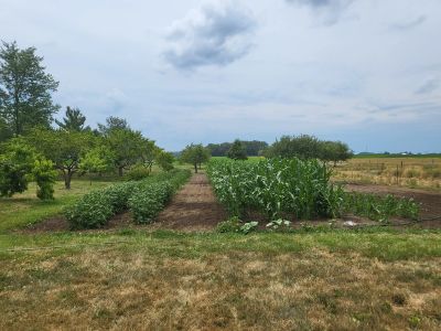 Valley of Grace - Image 20 of 20