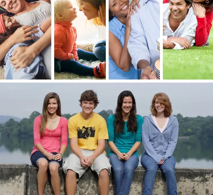 Willowstone Family Services - Image 7 of 7