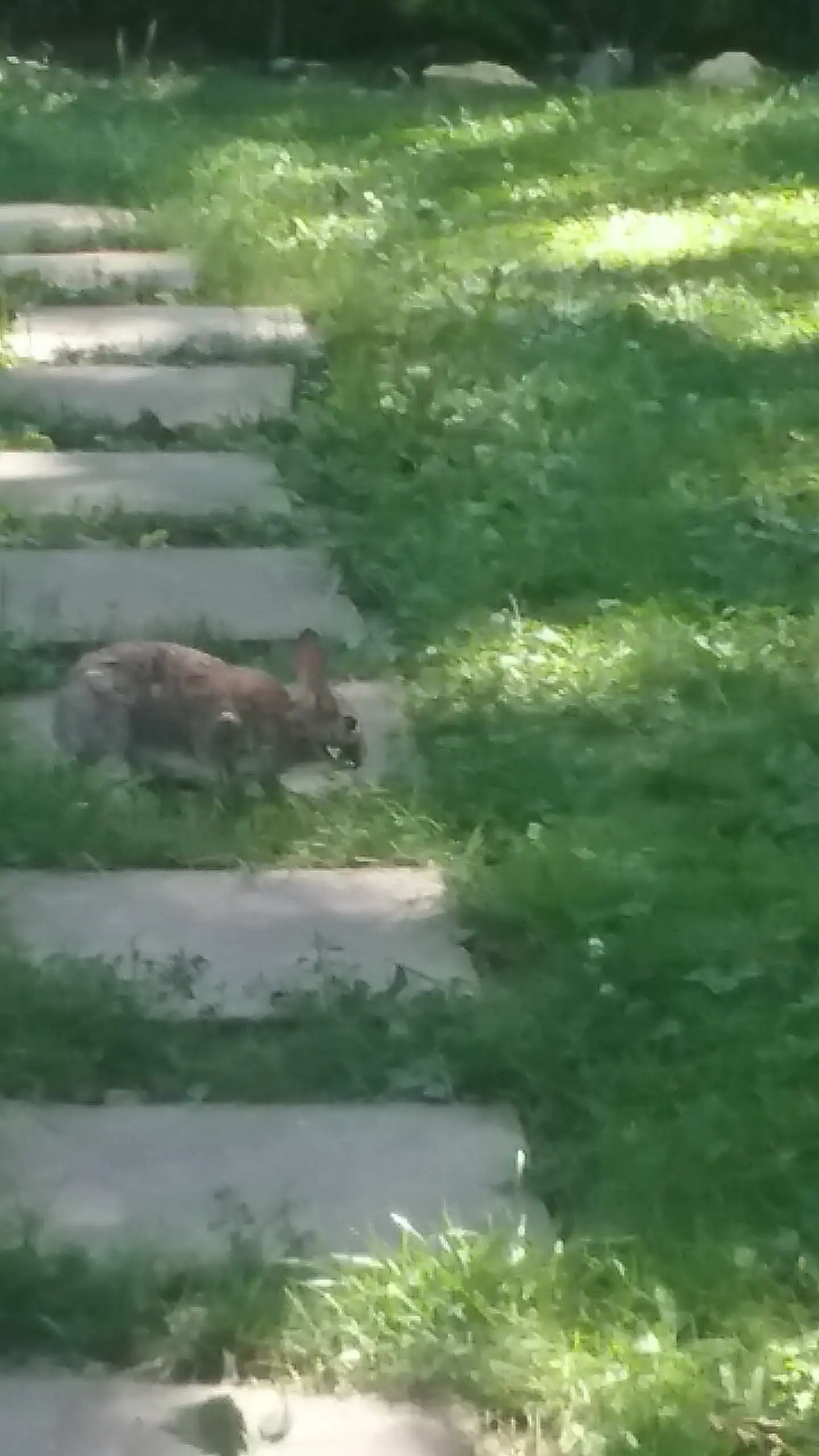 Womens Bureau Transitions - Image 7 of 12