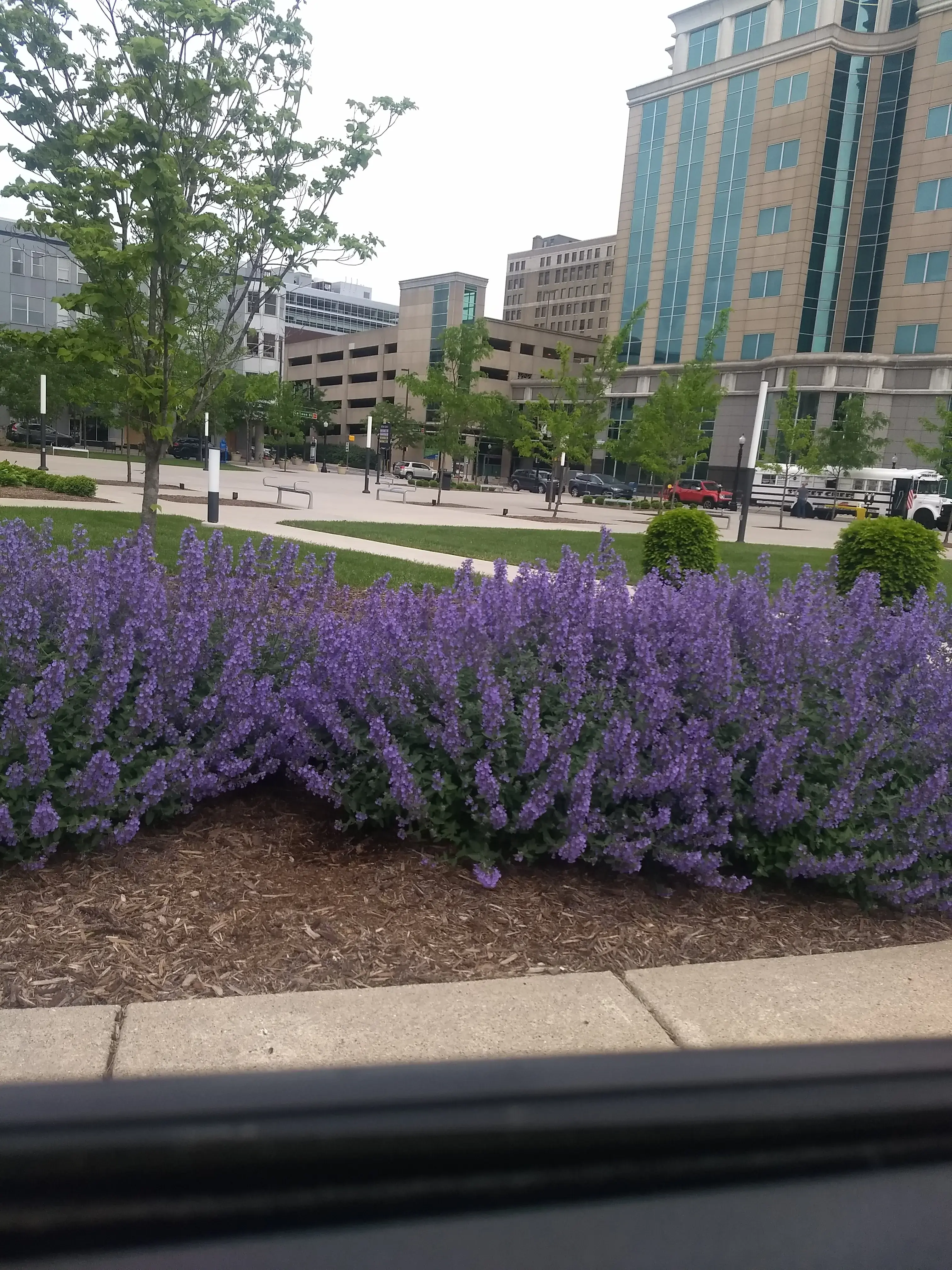 Womens Bureau Transitions - Image 3 of 12