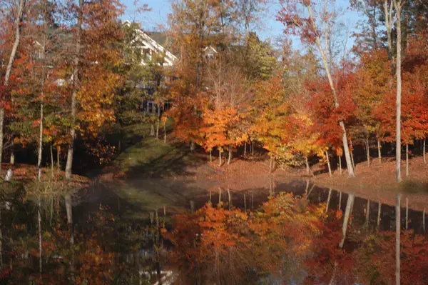 Wooded Glen Recovery Center - Image 19 of 20