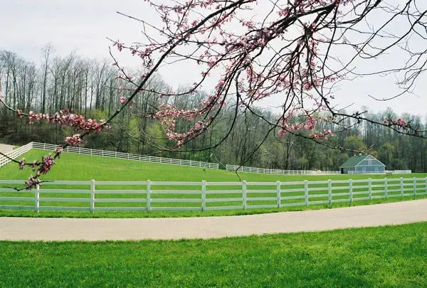 Wooded Glen Recovery Center - Image 13 of 20