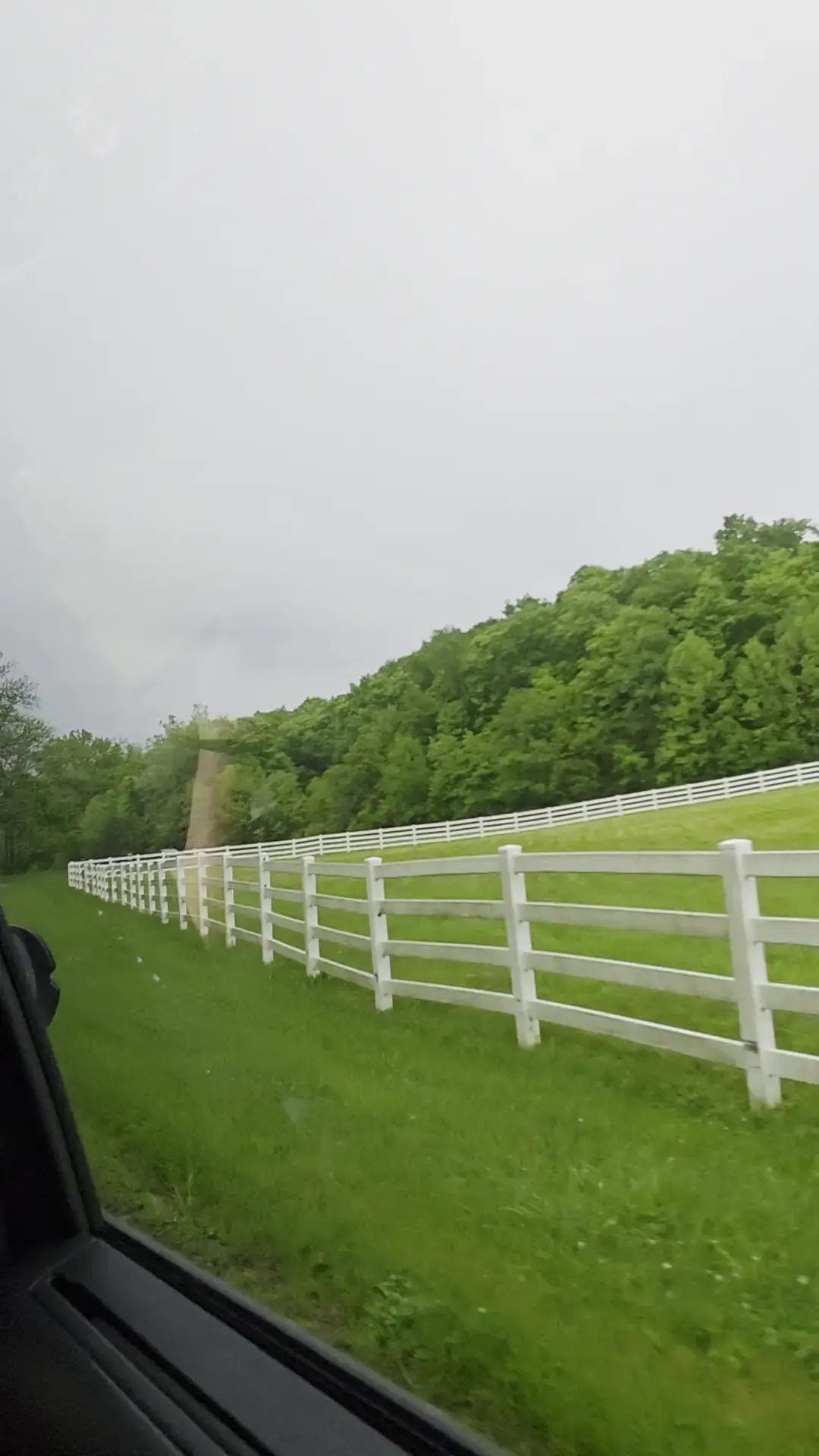 Wooded Glen Recovery Center - Image 9 of 20