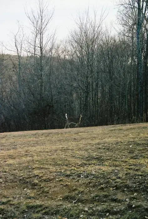 Wooded Glen Recovery Center - Image 7 of 20