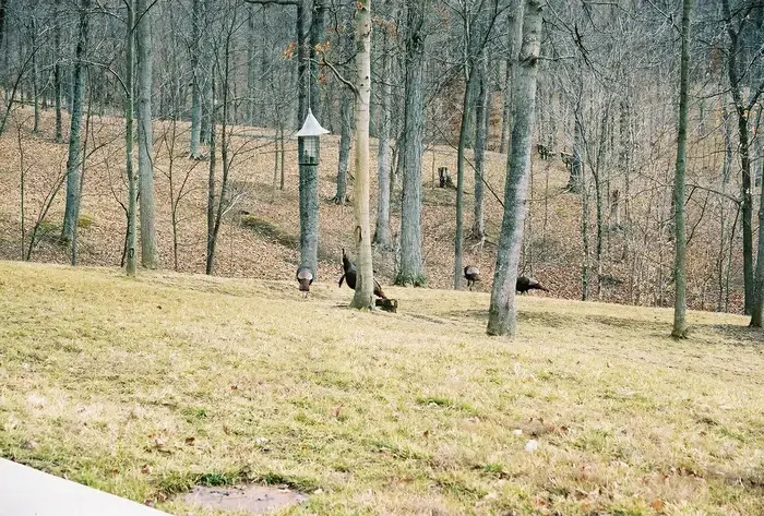 Wooded Glen Recovery Center - Image 6 of 20