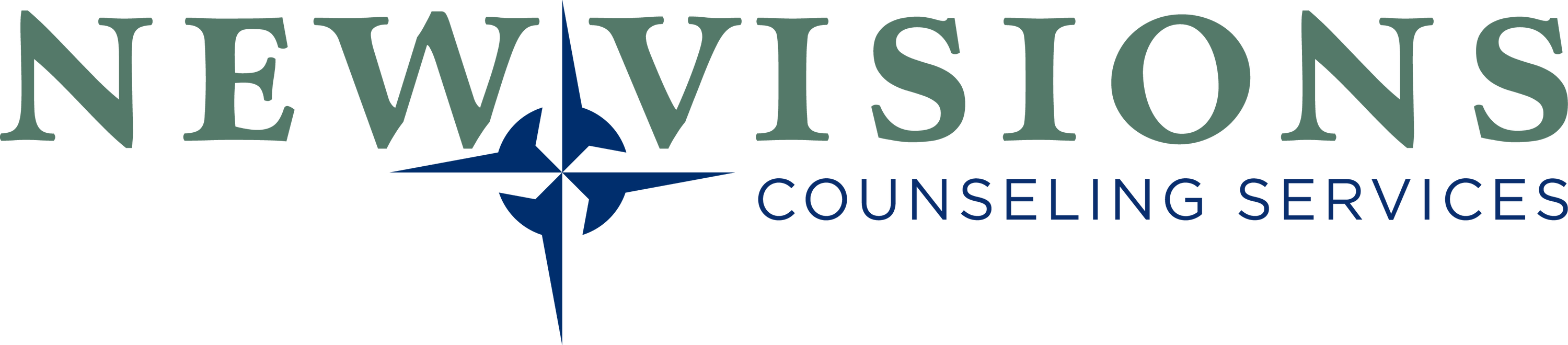 New Visions Counseling Services - Addiction treatment center logo in Evansville, Indiana